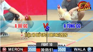 Trận 10 CPC2 08/06/2026 - Gà Bướm Anh Tùng Canh Chặn Quá Khéo
