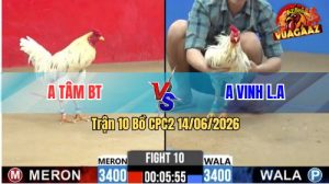 Trận 10 CPC2 14/06/2026 - Anh Tâm BT Hạ Anh Vinh Chưa Tới Tay Nước