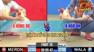 Trận 10 CPC2 17/06/2026 – Gà Anh Hùng Bình Dương Đá Đúng 1 Nốt Nhạc