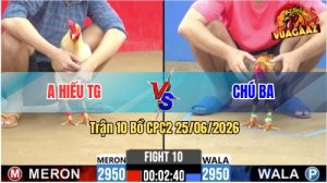 Trận 10 CPC2 25/06/2026 – Gà Bướm Anh Hiếu Đá 1 Cây Cựa Quá Hiểm