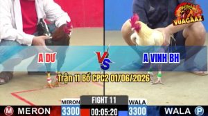 Trận 11 CPC2 01/06/2026 - Anh Dư Chưa Thả Gà Đã Bị Phóng Bạc Ăn 6