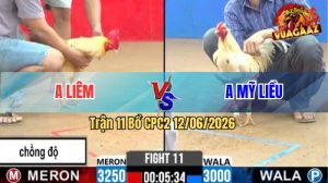 Trận 11 CPC2 12/06/2026 - Gà Anh Liêm Chồng Độ Hạ Anh Mỹ Liều