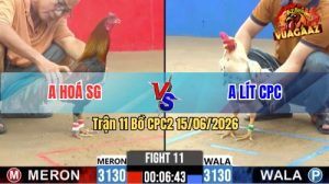 Trận 11 CPC2 15/06/2026 – Gà Que Anh Hoá Đá Cái Bo Như Xe Đụng