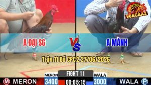 Trận 11 CPC2 27/06/2026 – Anh Đại Lụm Anh Mành Vì Tội Chấp Ngông