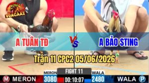 Trận 11 CPC2 Ngày 05/06/2026 Tại Vua Gà AZ