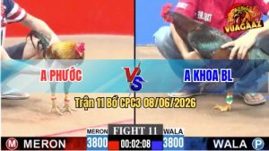 Trận 11 CPC3 08/06/2026 - Gà Điều Anh Khoa Bến Lức Đá Dỡ Mà May Độ
