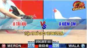 Trận 11 CPC3 14/06/2026 - Anh Kiểm Chấp Hơn 5 Chấm Mà Vẫn Lụm Tiếp