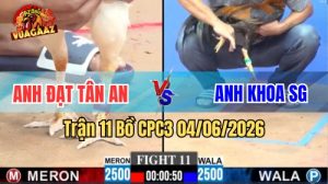 Trận 11 CPC3 Ngày 04/06/2026 Tại Vua Gà AZ