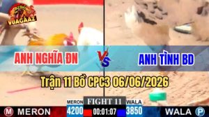 Trận 11 CPC3 Ngày 06/06/2026 Tại Vua Gà AZ
