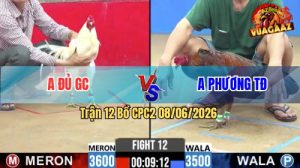 Trận 12 CPC2 08/06/2026 - Gà Úa Anh Đủ Đâm Đòn Cựa Quá Hiểm Hóc