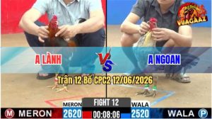 Trận 12 CPC2 12/06/2026 - Gà Điều Anh Lành Đá 3 Chân Xanh Sụm Nụ
