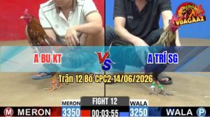 Trận 12 CPC2 14/06/2026 - Gà Điều Anh Bu Không Cho Đối Thủ Cơ Hội