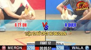 Trận 12 CPC2 16/06/2026 – Gà Bướm Anh Tý Đá Bươi Chà Như Cái Máy