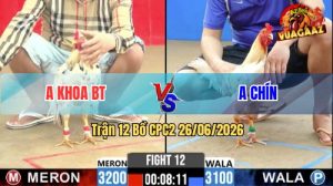 Trận 12 CPC2 26/06/2026 – Gà Anh Chín Bươi Chà Như Cái Máy