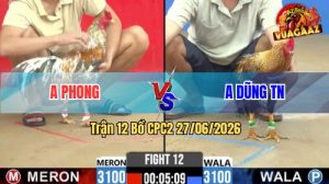 Trận 12 CPC2 27/06/2026 – Gà Cú Anh Dũng Đâm Đòn Cựa Quá Dính