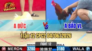 Trận 12 CPC2 Ngày 04/06/2026 Tại Vua Gà AZ