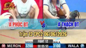 Trận 12 CPC2 Ngày 06/06/2026 Tại Vua Gà AZ