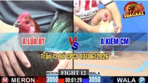 Trận 12 CPC3 07/06/2026 - Anh Kiểm Cà Mau Dí Bạc Ăn 2 Còn Bị Phản