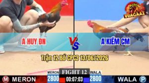 Trận 12 CPC3 13/06/2026 - Anh Kiểm Gãy Chuỗi Thắng Khi Gặp Anh Huy