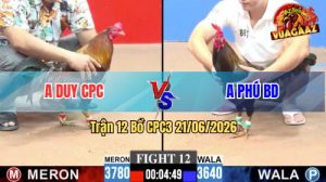 Trận 12 CPC3 21/06/2026 – Gà Điều Anh Duy Canh Chặn Khôn Như Người