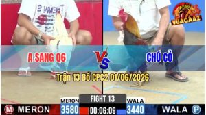 Trận 13 CPC2 01/06/2026 - Gà Điều Chú Cỏ Đá Cựa Đâm Như Điên