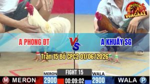 Trận 13 CPC2 01/06/2026 - Gà Úa Anh Khuầy Đá Không Kịp Gỡ Cựa