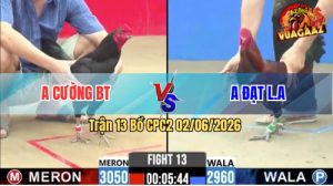 Trận 13 CPC2 02/06/2026 - Gà Que Anh Cường Đá Cái Bo Như Búa Bổ