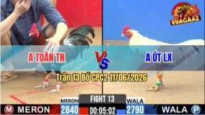 Trận 13 CPC2 11/06/2026 - Gà Điều Anh Toàn Đá Mấy Chân Đã Có Kết Quả