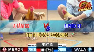 Trận 13 CPC2 12/06/2026 - Anh Phúc Bến Tre Thắng Trong Thế Thua