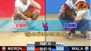 Trận 13 CPC2 13/06/2026 - Gà Anh Dũng Đá Quá Đau, Đỏ Bỏ Chạy