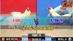 Trận 13 CPC2 30/06/2026 – Anh Tâm Hạ Anh Bảo Bằng Đòn Hồi Mã Thương