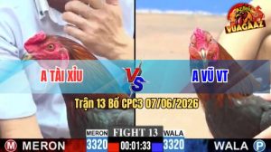 Trận 13 CPC3 07/06/2026 - Gà Que Anh Tài Xỉu Siêu Lì Đòn
