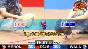 Trận 13 CPC3 14/06/2026 - Anh Sĩ Bình Dương Hạ Xanh Chết Trên Tay