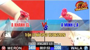 Trận 13 CPC3 15/06/2026 – Gà Bướm Má Minh Đá 3 Chân Hốt Bạc