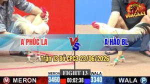 Trận 13 CPC3 23/06/2026 – Gà Úa Anh Phúc Tải Cựa Gồng Gánh Quá Hay