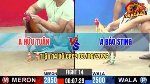 Trận 14 CPC2 03/06/2026 - Idol Bảo Sting Chấp Ngông Bị Anh Tuân Lụm