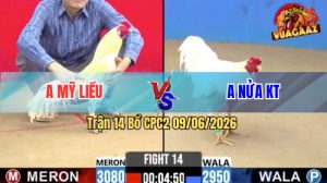 Trận 14 CPC2 09/06/2026 - Gà Bướm Anh Mỹ Không Cho Đối Thủ Đường Về