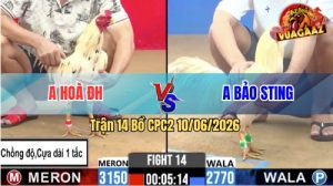 Trận 14 CPC2 10/06/2026 - Anh Bảo Sting Chấp Ngông Bị Anh Hoà Lụm
