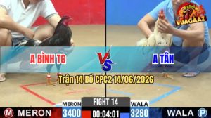 Trận 14 CPC2 14/06/2026 - Gà Điều Anh Bình Đâm Cựa Quá Khủng Khiếp