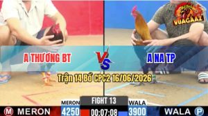 Trận 14 CPC2 16/06/2026 – Anh Thương BT Lội Ngược Dòng Thành Công