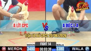 Trận 14 CPC2 25/06/2026 – Anh Đức Long An Không Cho Đỏ Cơ Hội Nào