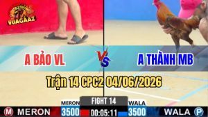 Trận 14 CPC2 Ngày 04/06/2026 Tại Vua Gà AZ