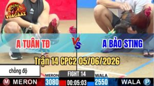 Trận 14 CPC2 Ngày 05/06/2026 Tại Vua Gà AZ