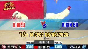 Trận 14 CPC2 Ngày 06/06/2026 Tại Vua Gà AZ