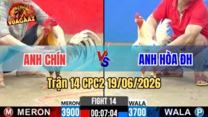 Trận 14 CPC2 Ngày 19/06/2026 tại Vua Gà AZ