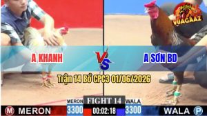 Trận 14 CPC3 01/06/2026 - Gà Bướm Anh Khanh Đá Cái Bo Như Cây Đập