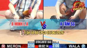 Trận 14 CPC3 07/06/2026 - Gà Điều Má Minh Gồng Gánh Cứu Chủ