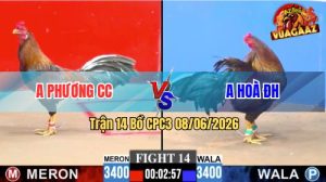 Trận 14 CPC3 08/06/2026 - Idol Phương Tóc Dài Tái Xuất Giang Hồ