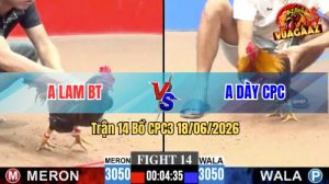 Trận 14 CPC3 18/06/2026 – Gà Điều Anh Lam Cứ Nhấc Chân Là Dính Cựa