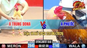 Trận 14 CPC3 23/06/2026 – Anh Trung Gặp Anh Phước, Hoà Mãn Nhãn